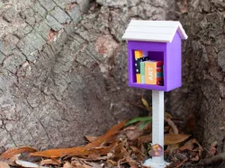 Little Little Free Library