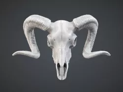 Ram Skull Pendant 3D print model