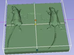 Real mouse CT STL file 3D print model