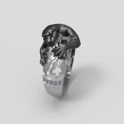 Ring 3D print model