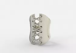 Ring Corset 3D print model