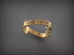 Ring FAC FIDELI SIS FIDELIS 3D print model
