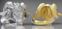 ring Ram  3D print model