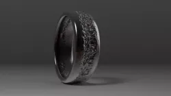 Scar Ring 3D print model