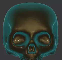 Skull 3D print model