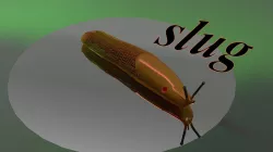 Slug of garden  3D print model