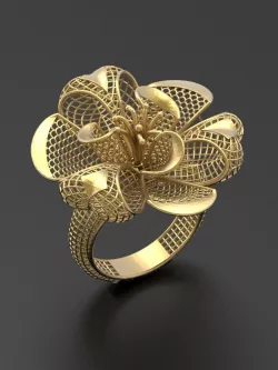 Ultra vision Ring STL 3d model for 3d printing 0003 3D print model