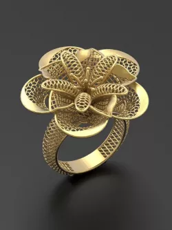 Ultra vision Ring STL 3d model for 3d printing 0005 3D print model