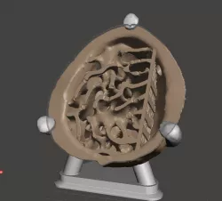 AntWallnut AntWallnuss 3D print model