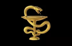 Bowl with a snake 3D print model