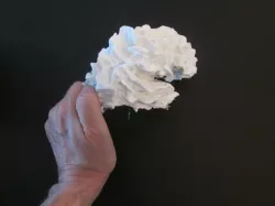 Brain Hemisphere White Matter of the Right Full-Scale 3D print model