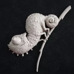 chameleon 3D print model