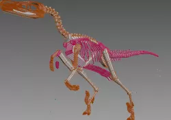 Dinosaurs 3D print model