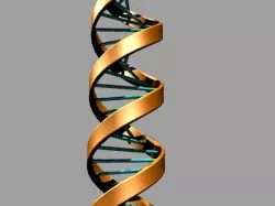 DNA - Double Helix 3D print model