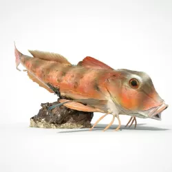Fish 3D printable 3D print model