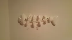 Fish Bone Wall Hanger 3D print model