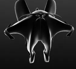 Ghost-Angel 3D print model
