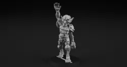 Goblin champions 3D print model