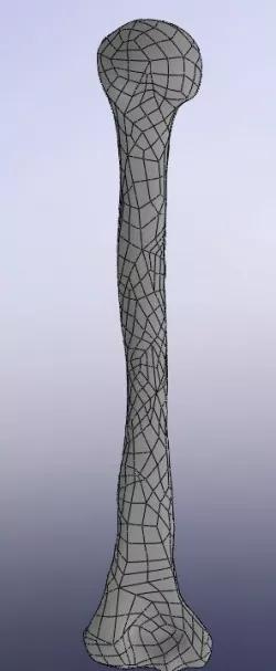 Humerus human bone based on CT 3D print model