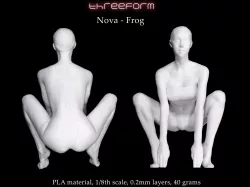 Nova - Frog pose 3D print model