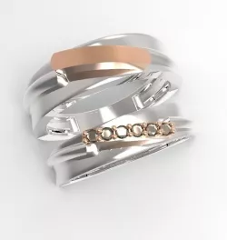 point ring 3D print model