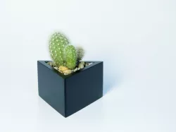 Prisma planter 3D print model