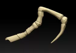 Pudge hook 3D print model
