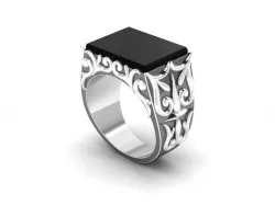  Ring- Ring 3D print model