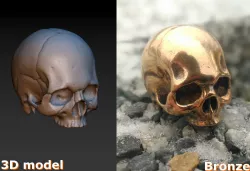 Skull 3D print model