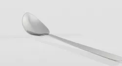stainless steel Spoon 3D print model