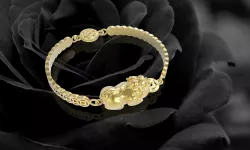 327 Lucky Pi retirement bracelets 3D print model