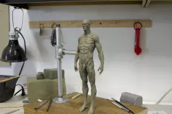 Anatomy human 3D print model