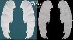 ANGEL WINGS 3D print model