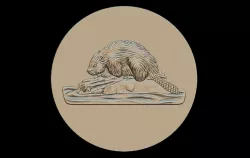 Beaver 3D print model