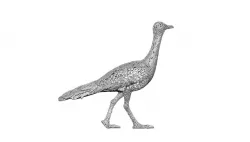 Bird Model1 3D print model