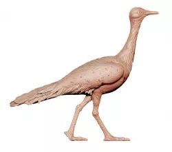 Bird Model2 3D print model