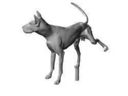 Dog leg lifting 3D print model
