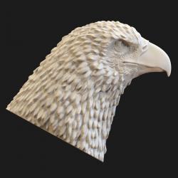 STL file Bald Eagle Head AM07 3D print model 👨‍🦲・Design to