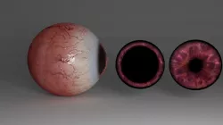 eYe globe 3D print model