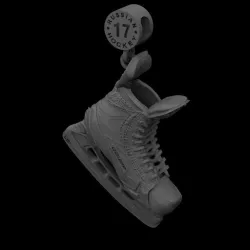 Hockey skates 3D print model