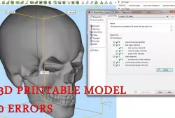 Mad Skull 3D print model