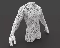 Male body mesh bust  3D print model