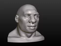 Man Head 3D print model