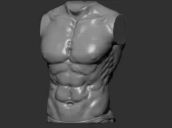 Man Torso 3D print model