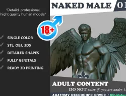 Nake Male Angel 1803081 3D print model