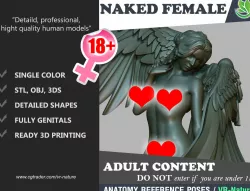 Naked Angel Standing 1803052 3D print model