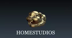 PENDANT Chinese pig 3D print model