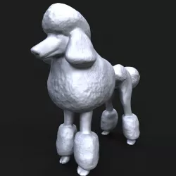 Poodle 3D print model
