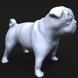 Pug dog 3D print model