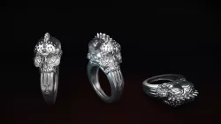 Punk Rings 3D print model